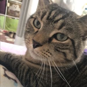 Meet your Posher, Karina